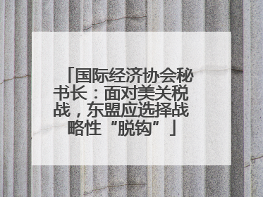 国际经济协会秘书长：面对美关税战，东盟应选择战略性“脱钩”