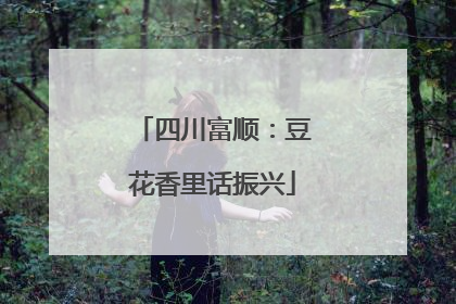 四川富顺：豆花香里话振兴