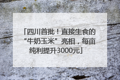 四川首批！直接生食的“牛奶玉米”亮相，每亩纯利提升3000元