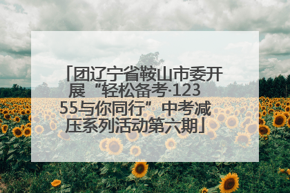 团辽宁省鞍山市委开展“轻松备考·12355与你同行”中考减压系列活动第六期