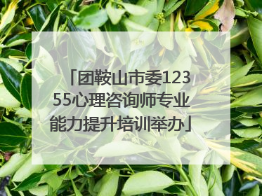团鞍山市委12355心理咨询师专业能力提升培训举办