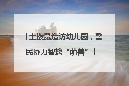 土拨鼠造访幼儿园，警民协力智擒“萌兽”