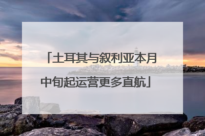 土耳其与叙利亚本月中旬起运营更多直航