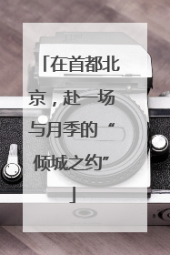 在首都北京，赴一场与月季的“倾城之约”