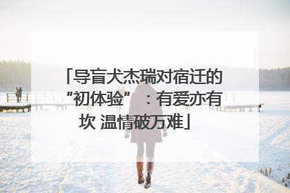 导盲犬杰瑞对宿迁的“初体验”：有爱亦有坎 温情破万难