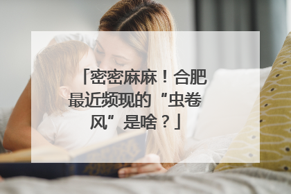 密密麻麻！合肥最近频现的“虫卷风”是啥？