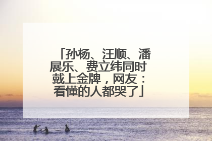 孙杨、汪顺、潘展乐、费立纬同时戴上金牌，网友：看懂的人都哭了