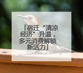 宿迁“清凉经济”升温，多元消费解锁新活力