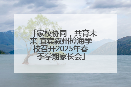 家校协同，共育未来 宜宾叙州樟海学校召开2025年春季学期家长会