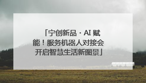 宁创新品・AI 赋能！服务机器人对接会开启智慧生活新图景
