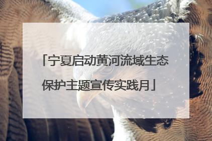 宁夏启动黄河流域生态保护主题宣传实践月