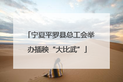 宁夏平罗县总工会举办插秧“大比武”