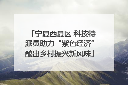 宁夏西夏区 科技特派员助力“紫色经济”酿出乡村振兴新风味