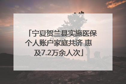 宁夏贺兰县实施医保个人账户家庭共济 惠及7.2万余人次