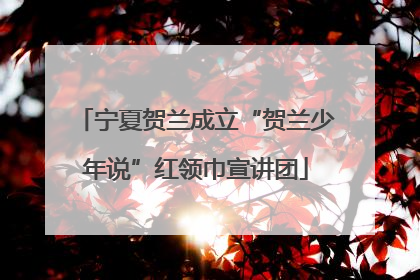 宁夏贺兰成立“贺兰少年说”红领巾宣讲团