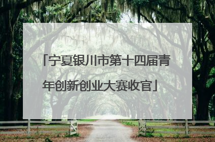 宁夏银川市第十四届青年创新创业大赛收官