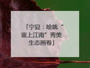 宁夏：绘就“塞上江南”秀美生态画卷