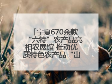 宁夏670余款“六特”农产品亮相农展馆 推动优质特色农产品“出宁进京”