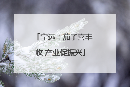 宁远：茄子喜丰收 产业促振兴