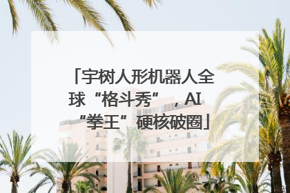 宇树人形机器人全球“格斗秀”，AI“拳王”硬核破圈