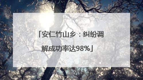 安仁竹山乡：纠纷调解成功率达98%