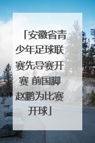 安徽省青少年足球联赛先导赛开赛 前国脚赵鹏为比赛开球