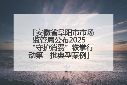 安徽省阜阳市市场监管局公布2025“守护消费”铁拳行动第一批典型案例