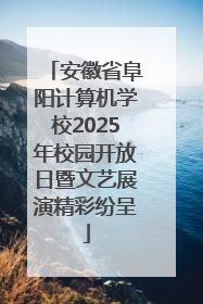 安徽省阜阳计算机学校2025年校园开放日暨文艺展演精彩纷呈