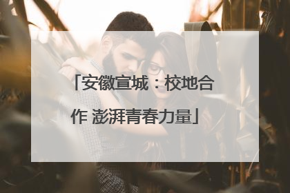 安徽宣城：校地合作 澎湃青春力量