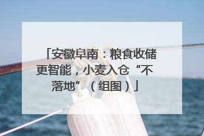 安徽阜南：粮食收储更智能，小麦入仓“不落地”（组图）