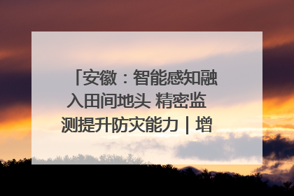 安徽：智能感知融入田间地头 精密监测提升防灾能力｜增发国债气象项目落地见效系列报道