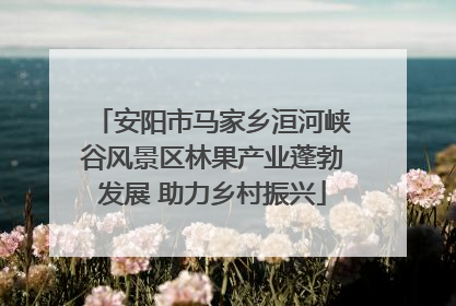安阳市马家乡洹河峡谷风景区林果产业蓬勃发展 助力乡村振兴