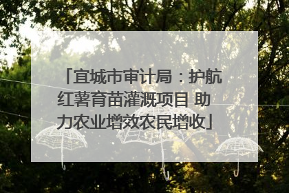 宜城市审计局：护航红薯育苗灌溉项目 助力农业增效农民增收