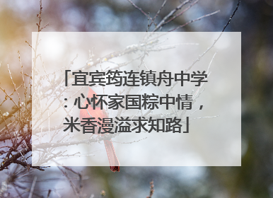 宜宾筠连镇舟中学：心怀家国粽中情，米香漫溢求知路