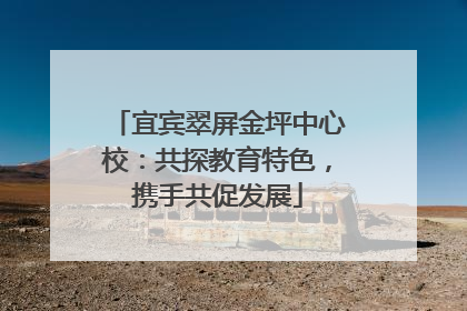 宜宾翠屏金坪中心校：共探教育特色，携手共促发展