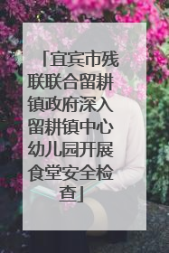 宜宾市残联联合留耕镇政府深入留耕镇中心幼儿园开展食堂安全检查