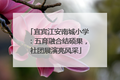 宜宾江安南城小学：五育融合结硕果，社团展演亮风采