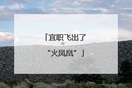 宜职飞出了“火凤凰”