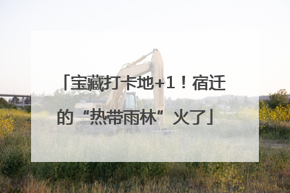 宝藏打卡地+1！宿迁的“热带雨林”火了