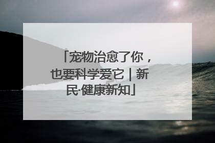 宠物治愈了你，也要科学爱它｜新民·健康新知