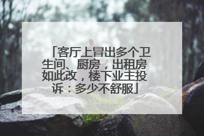 客厅上冒出多个卫生间、厨房，出租房如此改，楼下业主投诉：多少不舒服