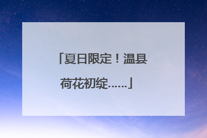 夏日限定！温县荷花初绽……