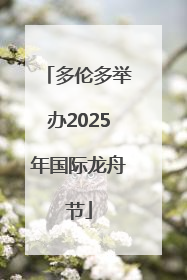 多伦多举办2025年国际龙舟节