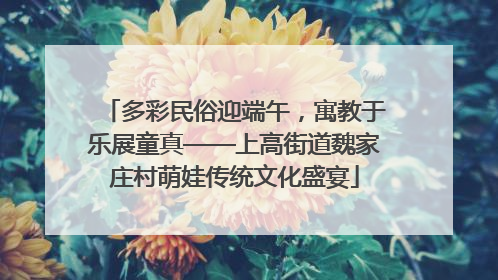 多彩民俗迎端午，寓教于乐展童真——上高街道魏家庄村萌娃传统文化盛宴