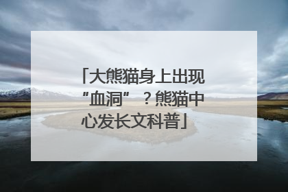 大熊猫身上出现“血洞”？熊猫中心发长文科普