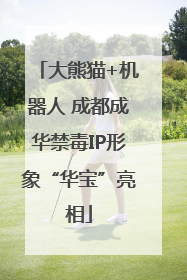 大熊猫+机器人 成都成华禁毒IP形象“华宝”亮相