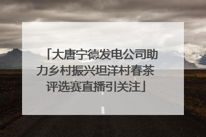 大唐宁德发电公司助力乡村振兴坦洋村春茶评选赛直播引关注