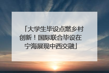 大学生毕设点燃乡村创新！国际联合毕设在宁海展现中西交融