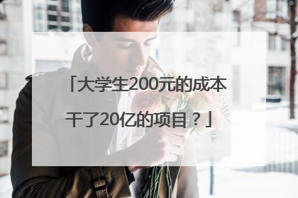 大学生200元的成本干了20亿的项目？
