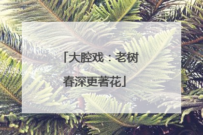 大腔戏：老树春深更著花
